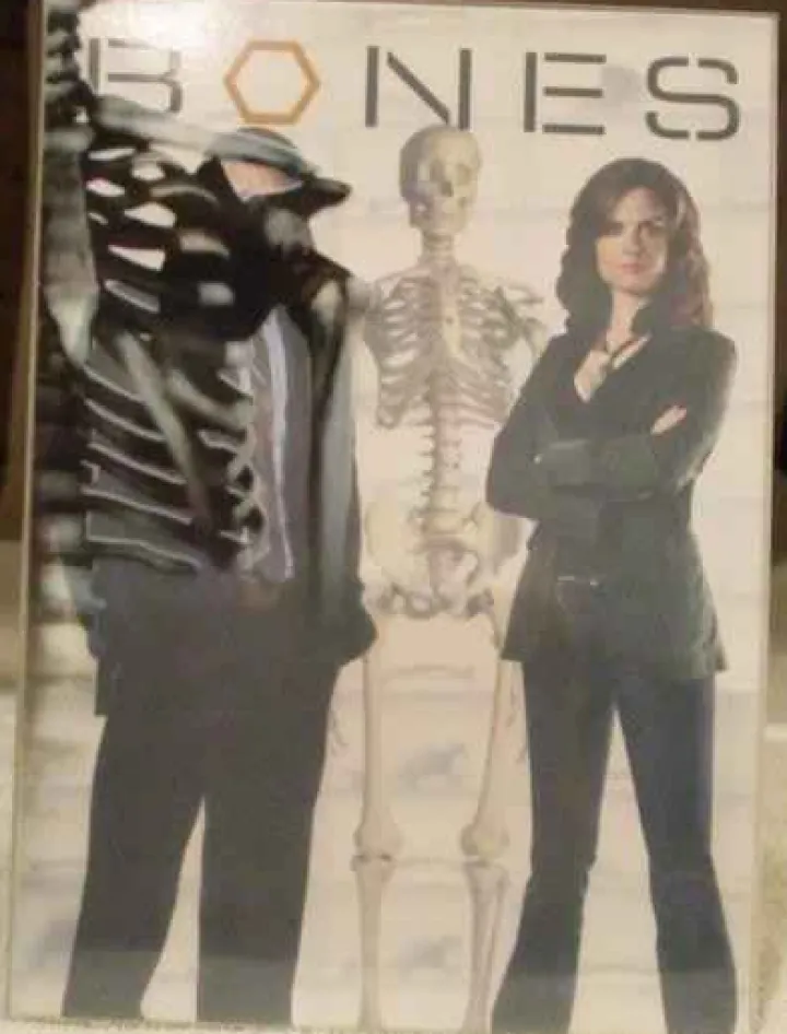 Bones - Season 1